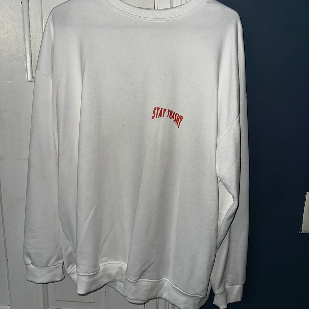 Stay Trashy Raccoon Graphic Sweatshirt - Picture 2 of 3